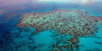 グレート バリア リーフ オーストラリア 世界遺産オンラインガイド