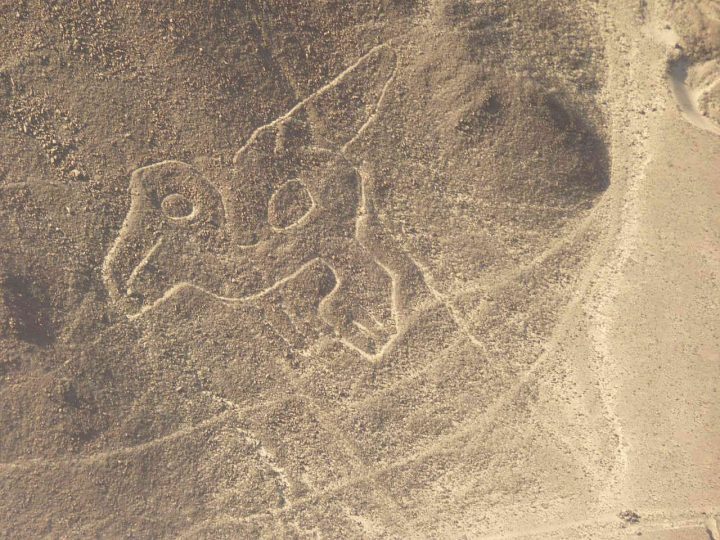 神秘的 ナスカの地上絵の壮大な写真 高画質画像まとめ 写真まとめサイト Pictas