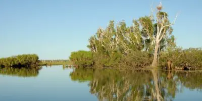 カカドゥ国立公園 オーストラリア 世界遺産オンラインガイド