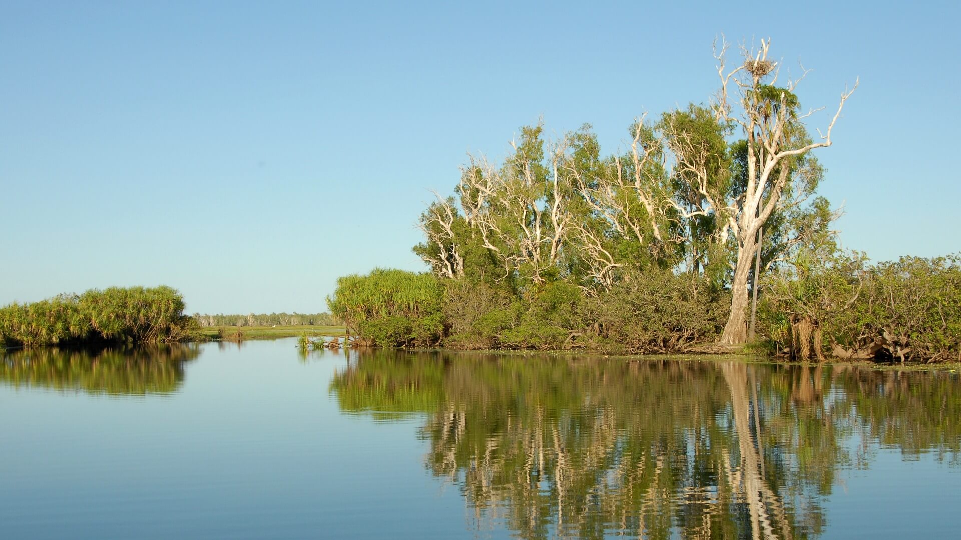 カカドゥ国立公園 オーストラリア 世界遺産オンラインガイド