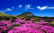 韓国の世界遺産・済州火山島と溶岩洞窟群