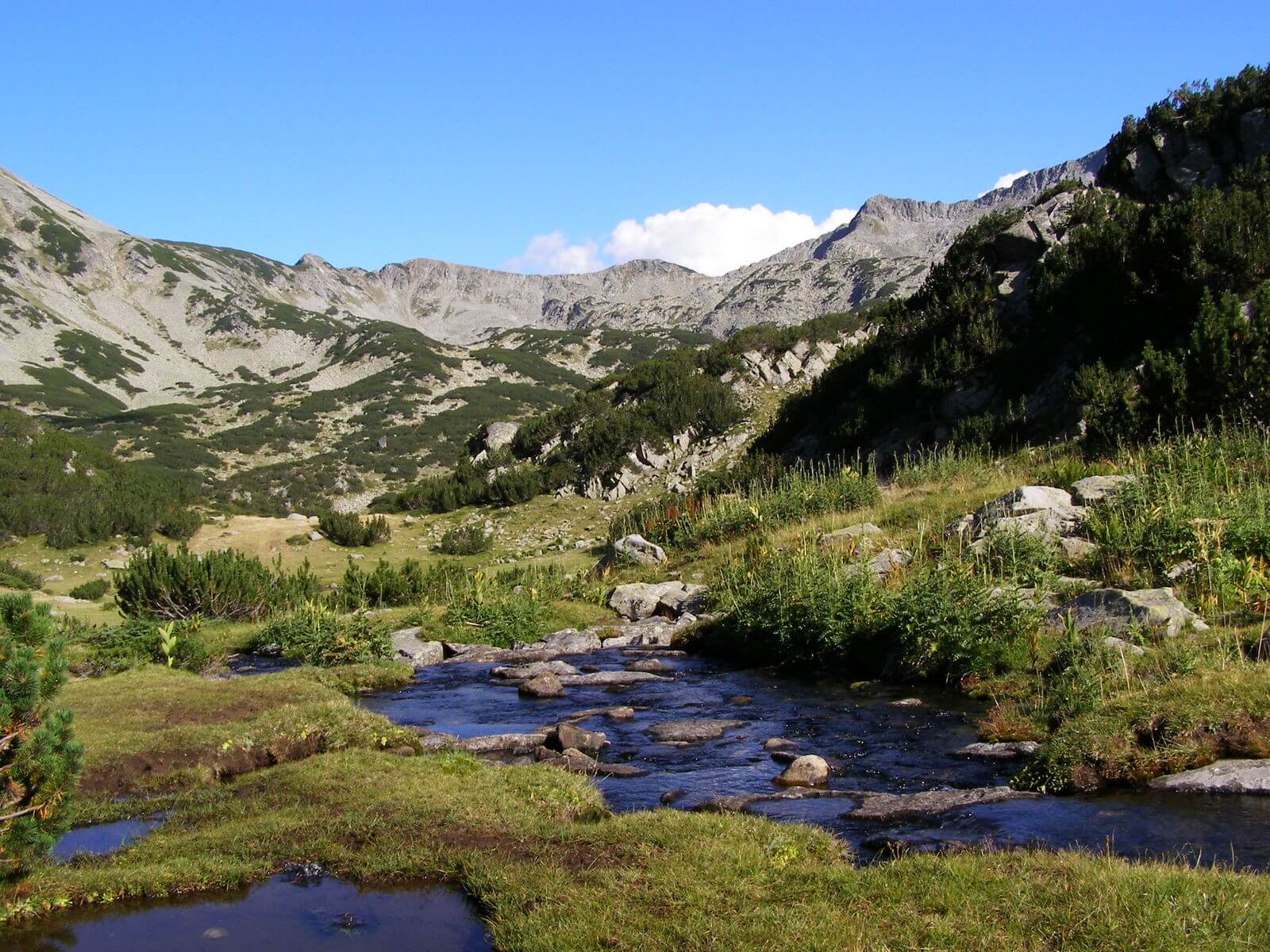 ピリン国立公園 ブルガリア 世界遺産オンラインガイド