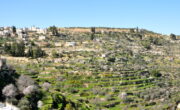 オリーブとワインの地パレスチナ - エルサレム地方南部バティールの文化的景観