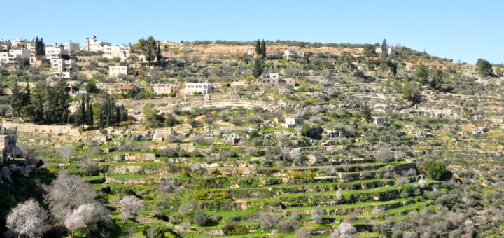 オリーブとワインの地パレスチナ – エルサレム地方南部バティールの文化的景観