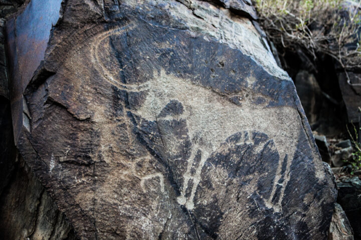 タンバリの考古的景観にある岩絵群 | カザフスタン | 世界遺産