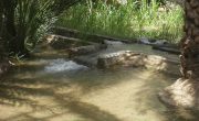 世界遺産・アフラージュ-オマーンの灌漑システム