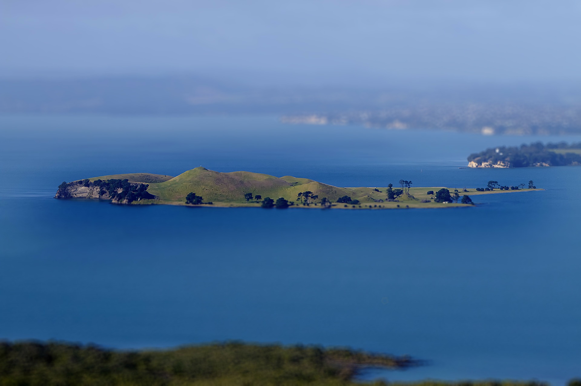 ニュージーランドの亜南極諸島 世界遺産オンラインガイド