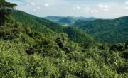ドンパヤーイェン-カオヤイ森林地帯 (2)
