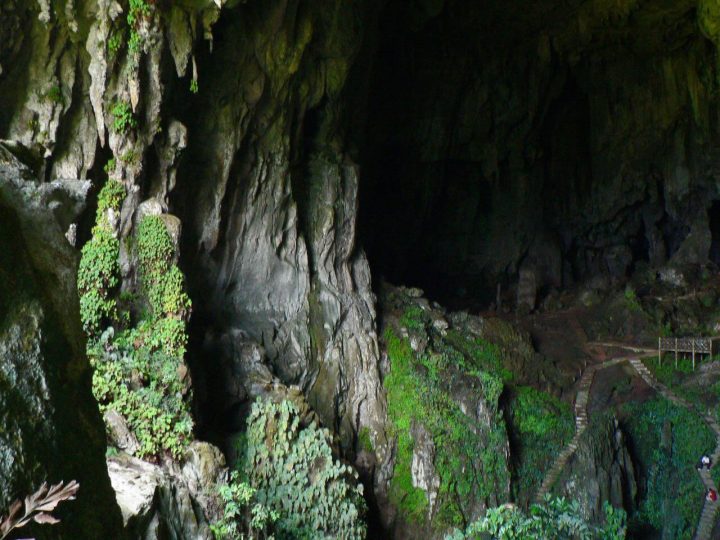 グヌン ムル国立公園 マレーシア 世界遺産オンラインガイド