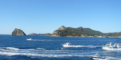 小笠原諸島の絶滅危惧種 小笠原諸島 世界遺産オンラインガイド