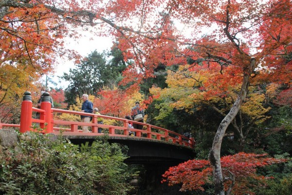 【世界遺産】この秋行きたい紅葉と日本の世界遺産５選　　