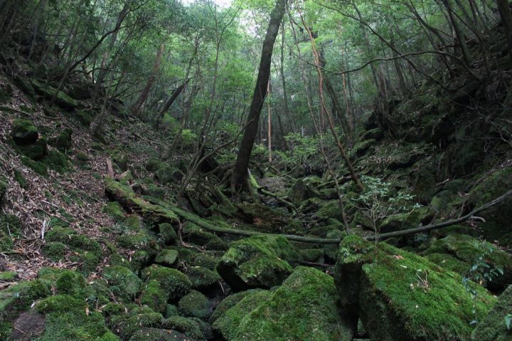 ジブリ好きの方必見 映画の舞台となった世界遺産 世界遺産オンラインガイド