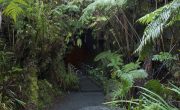 サーストン・ラバ・チューブ｜ハワイ火山国立公園 (2)