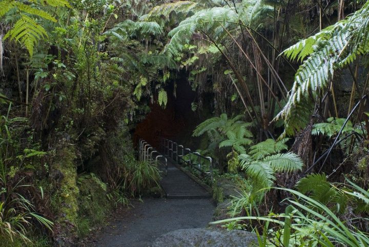 【世界遺産】サーストン・ラバ・チューブ | ハワイ火山国立公園
