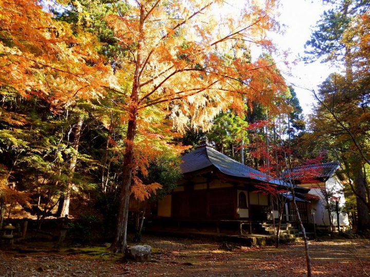 【世界遺産】高山寺 | 古都京都の文化財