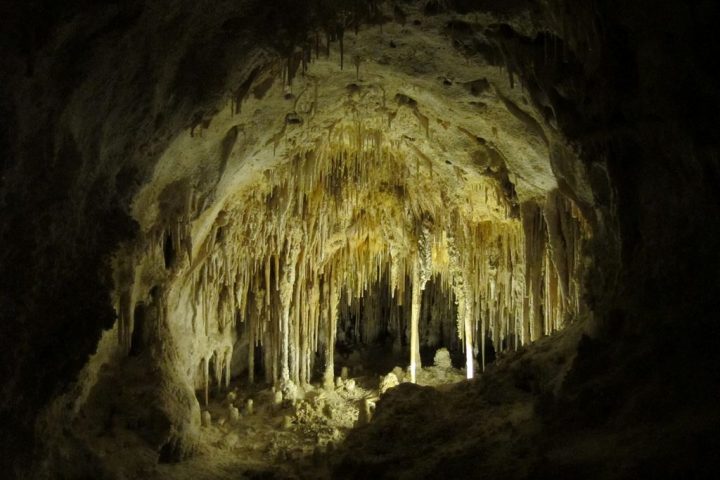 【世界遺産】ビッグルーム | カールズバッド洞窟群国立公園
