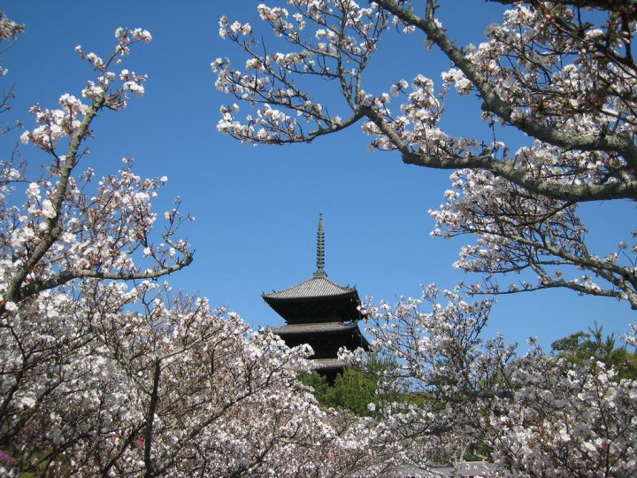 【世界遺産】仁和寺 | 古都京都の文化財
