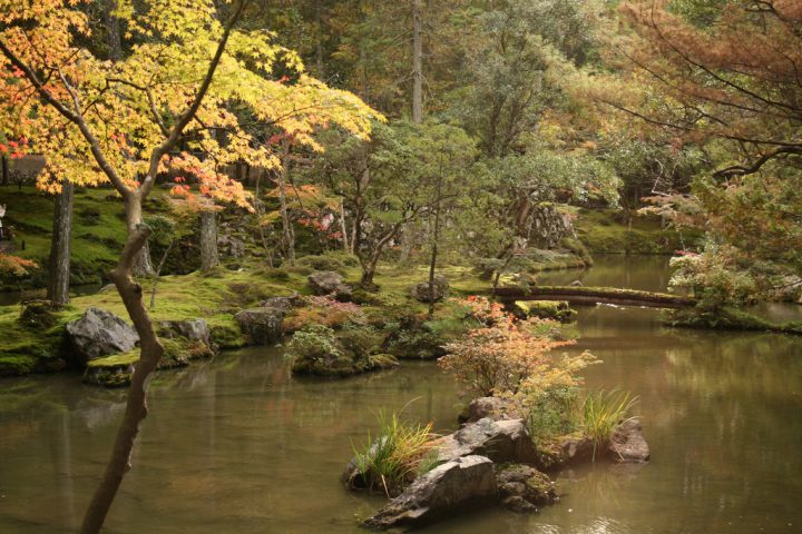【世界遺産】西芳寺（苔寺） | 古都京都の文化財