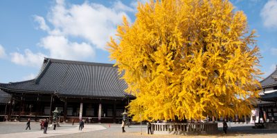 本願寺 西本願寺 古都京都の文化財 世界遺産オンラインガイド