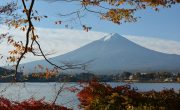 世界文化遺産（「富士山－信仰の対象と芸術の源泉）