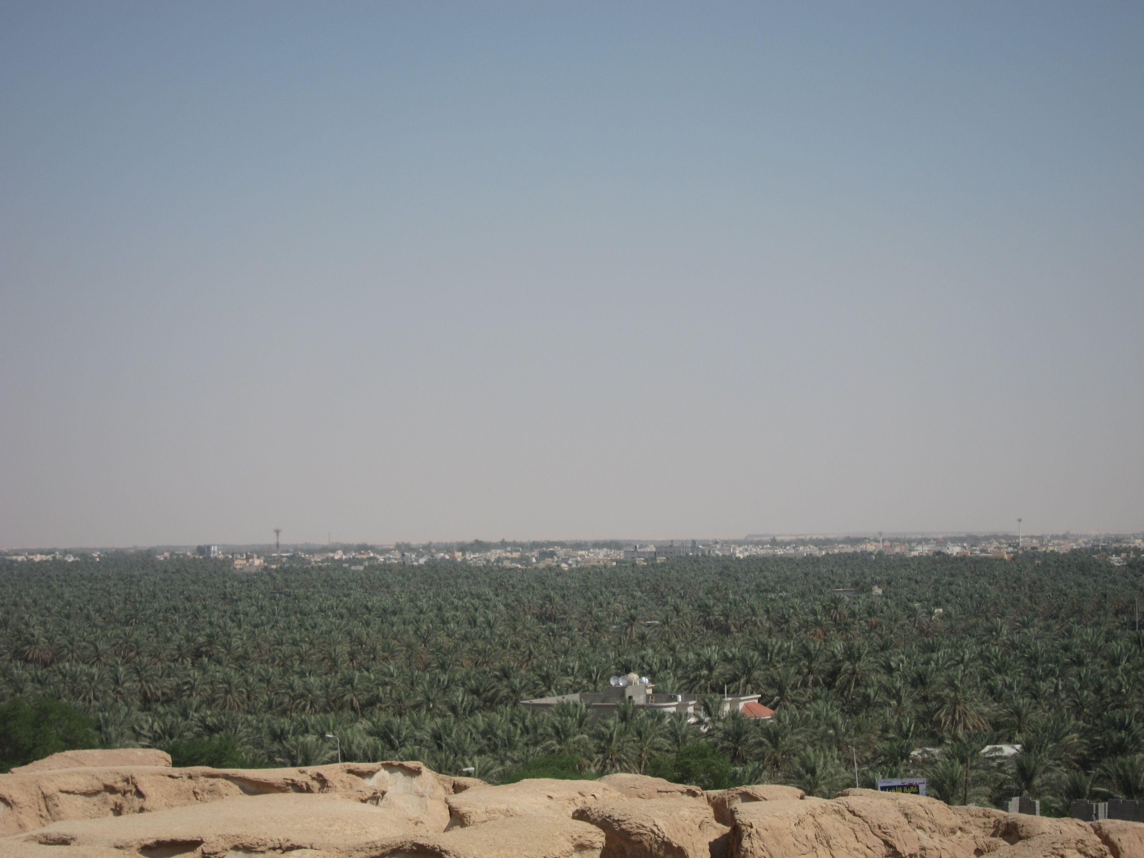 アハサー オアシス 進化する文化的景観 サウジアラビア 世界遺産オンラインガイド