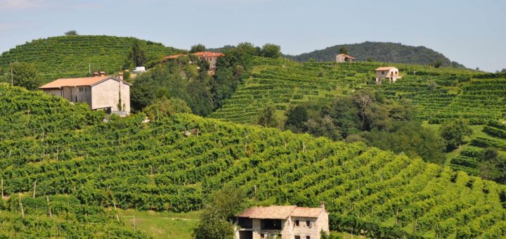 コネリアーノとヴァルドッビアーデネのプロセッコ栽培丘陵群