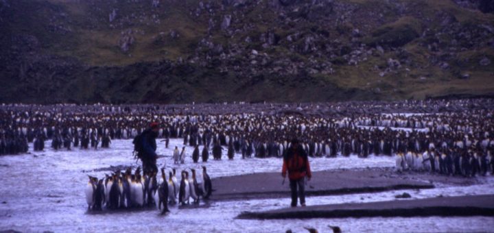 フランス領南方地域の陸と海